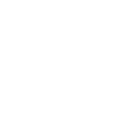 Lidema Studios logo